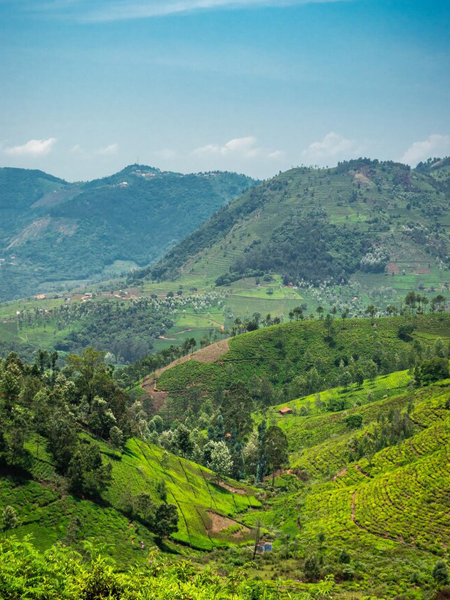 Coorg