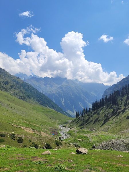 Kashmir