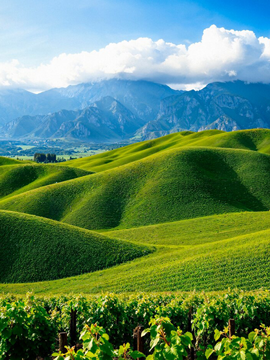 Ooty